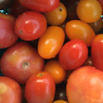 tomaatjes-1 tomatensaus